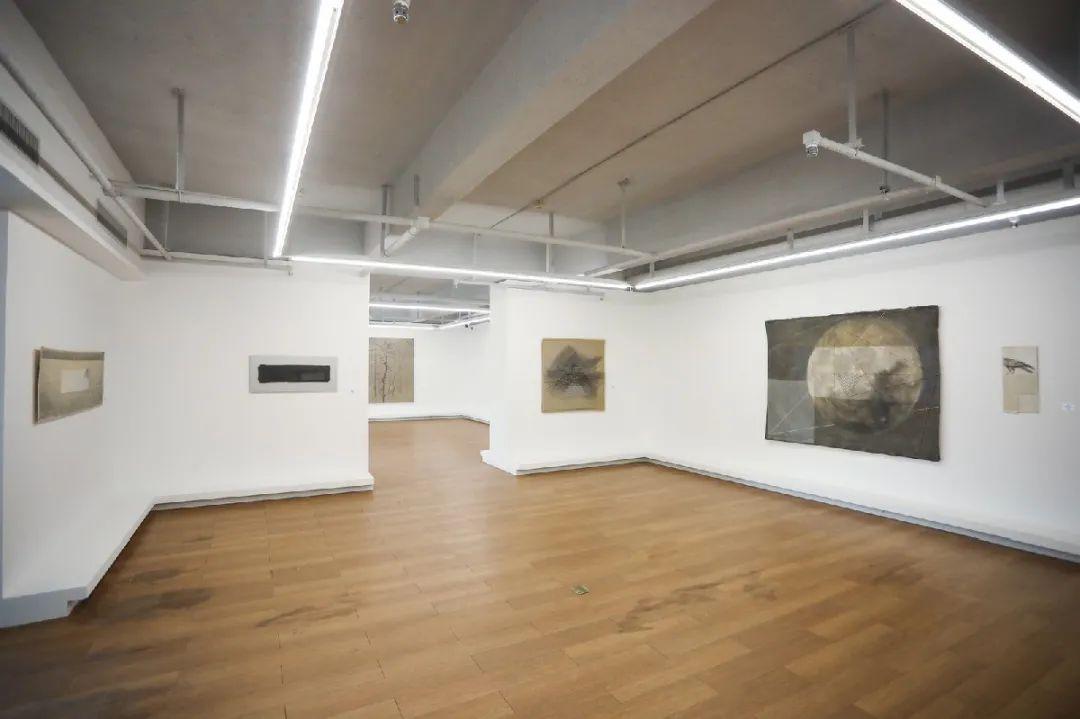 坪山美术馆公园馆面向市民开放在社会文本之外李明昌张近慧作品展开幕