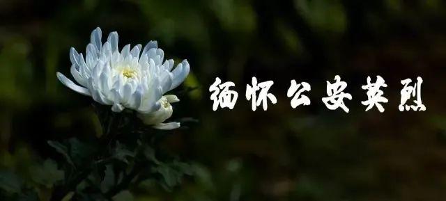 线上献花,深切缅怀深圳公安英烈