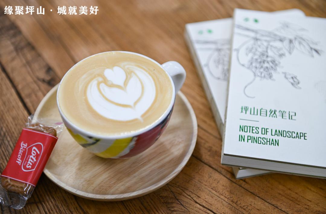 缘聚坪山·城就美好丨坪山青年人才书香写意,品味佳话