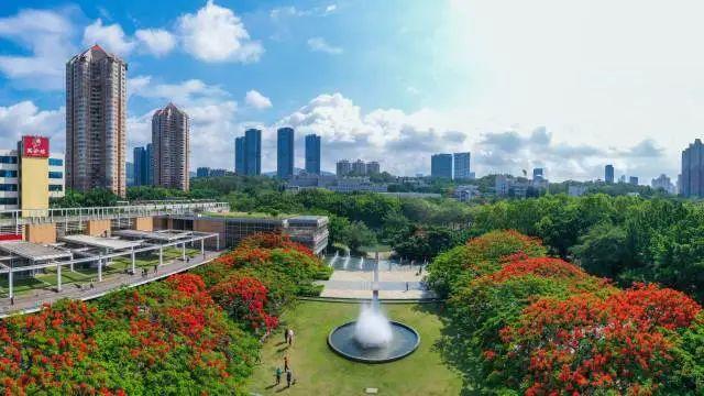 宝安西乡街道凤凰岗社区融合各方力量参与反家暴工作,逐步织牢妇女