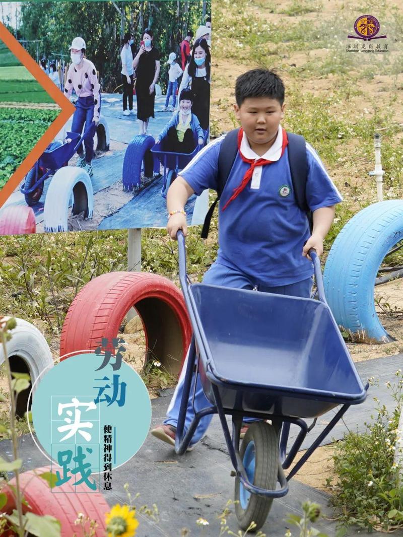 来源 | 深圳市龙岗区教育局海报摄影 | 龙岗区龙城街道盛平小学海报