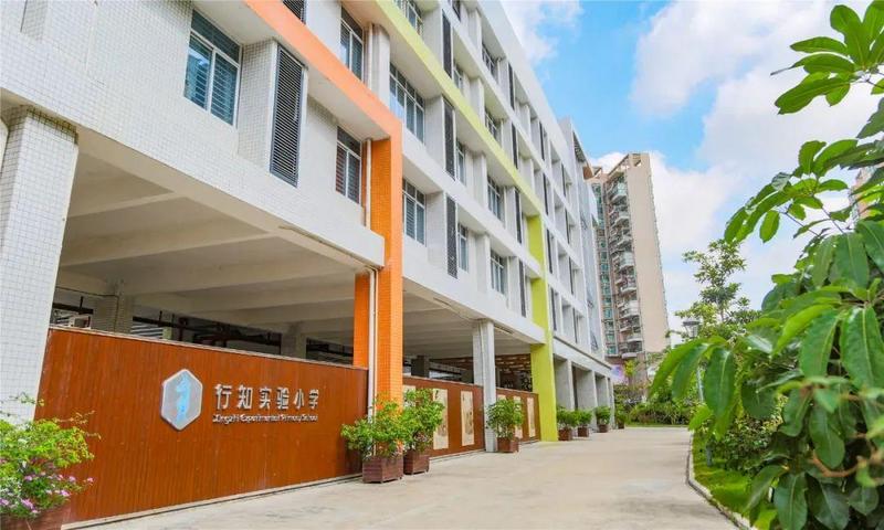 ta就是龙华区行知实验小学.