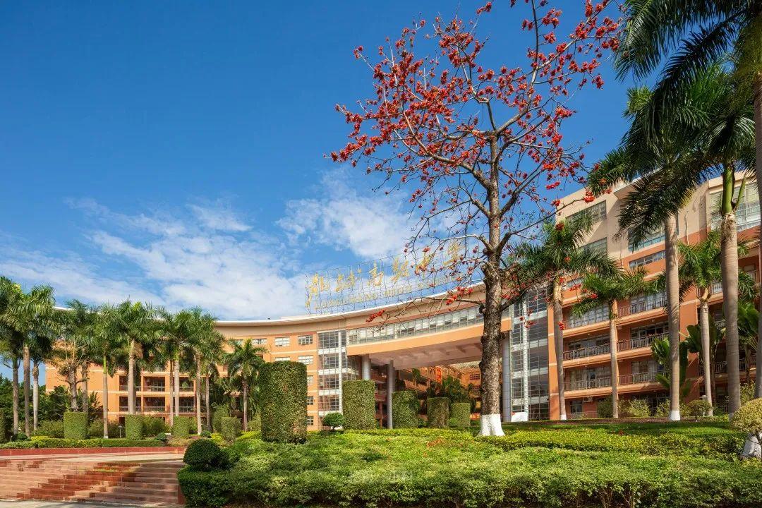 龙城高级中学:打造卓越品牌,成就卓越学子_深圳新闻网