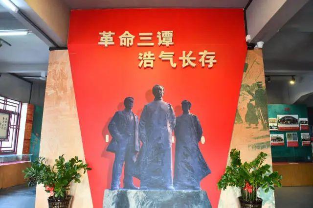 党史学习教育革命三谭推动广东党团组织发展壮大
