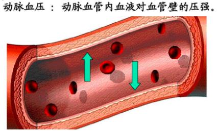 只要5分钟,带你一起了解血压的秘密!_深圳新闻网