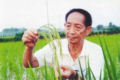 国士无双,袁老一路走好