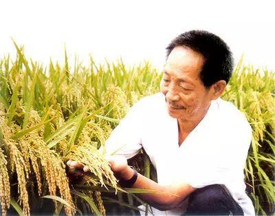 国士无双,袁老一路走好