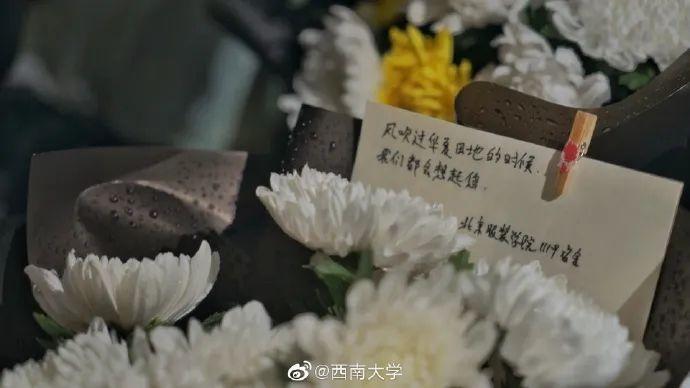 围成了一片花海越来越多,越来越多从最初的几束袁隆平像前的花同学们