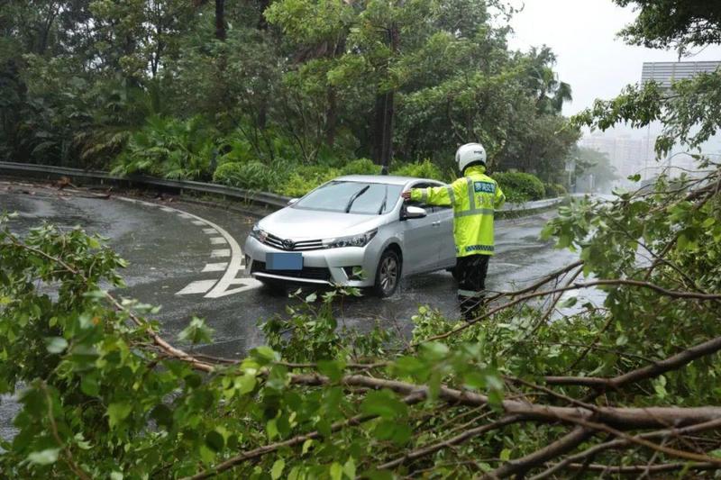 事故率下降!防范化解道路交通安全风险,重点在这八个方面!_深圳新闻网