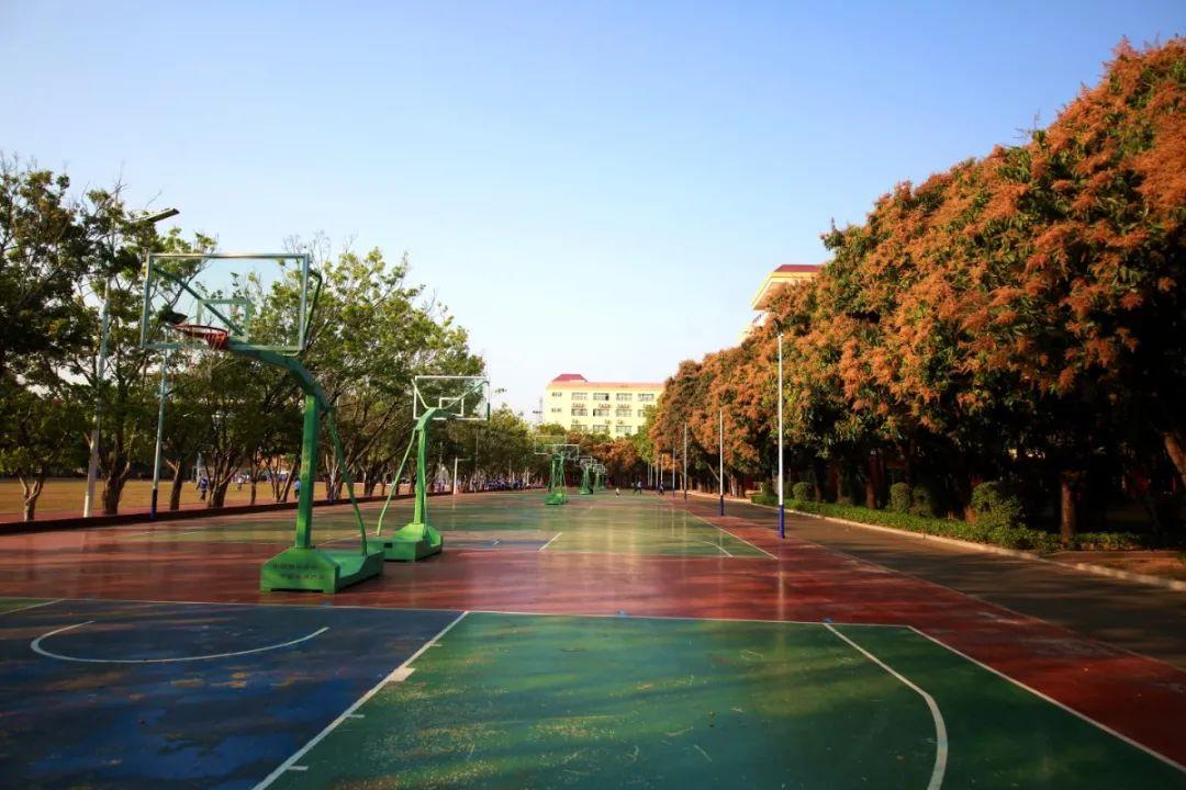 宝安区松岗中学相约美丽松中成就美好未来