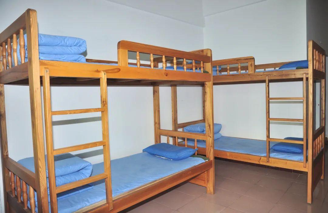 宝安区石岩公学:多元成长通道,启迪多彩未来!