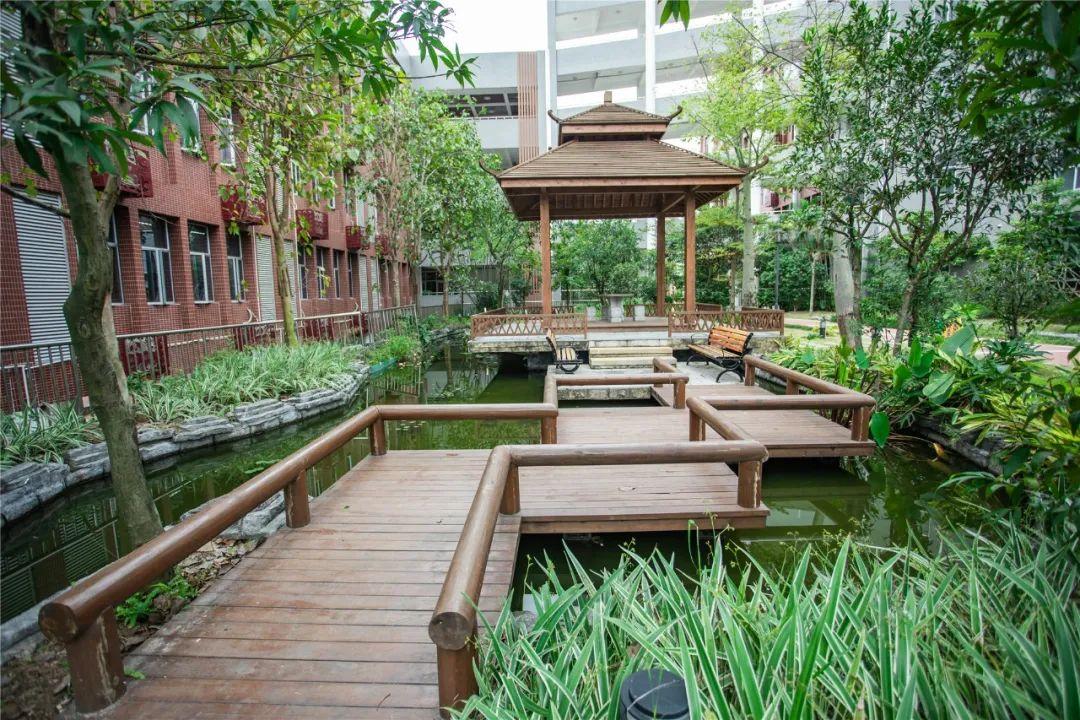 小编探校【17】| 出门就是5a景区,这所"森林学校"了解一下!