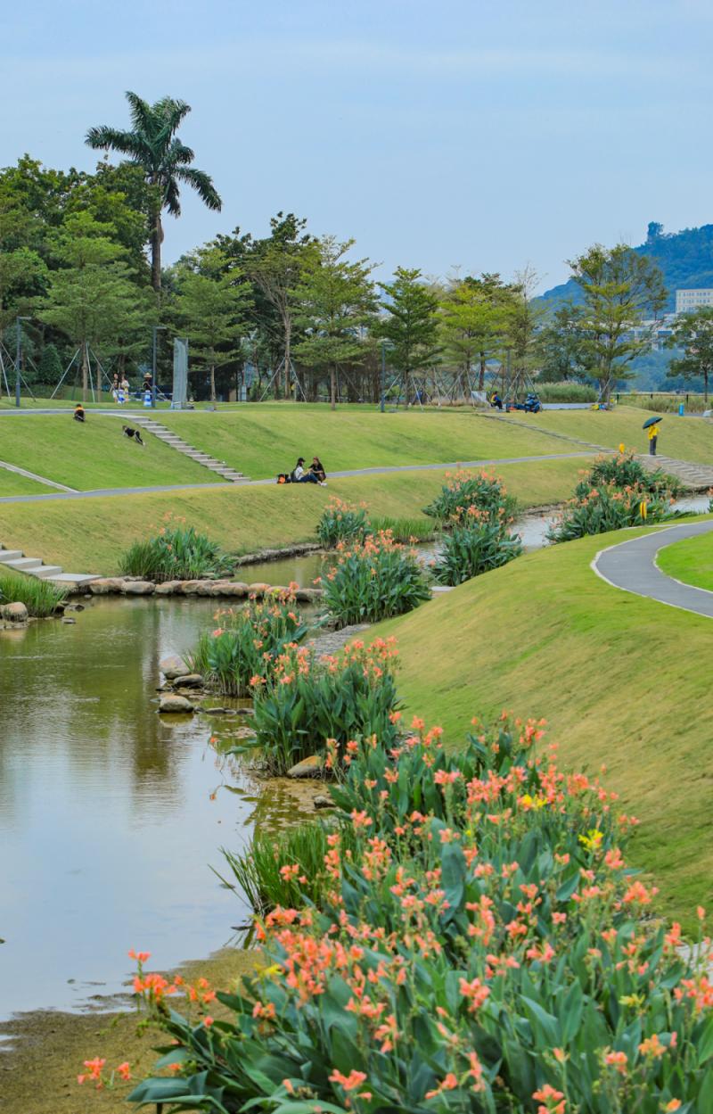 聚焦巴掌大的地方都不能有黑臭水体