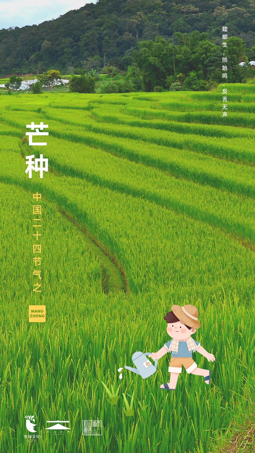 今日芒种芒种芒种忙有所获播种理想