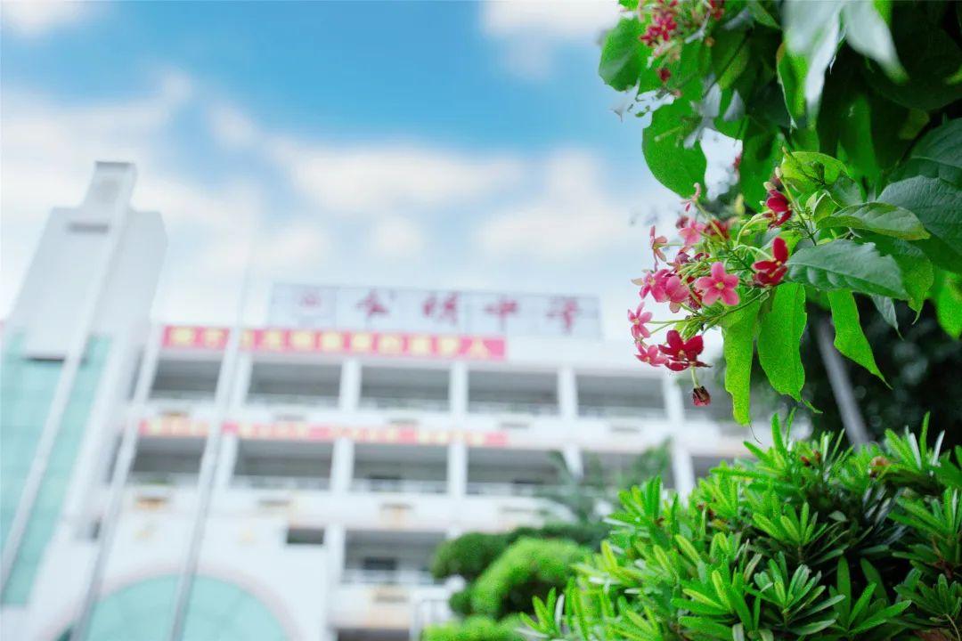 校园一隅 | 来公明中学的"花园"逛逛