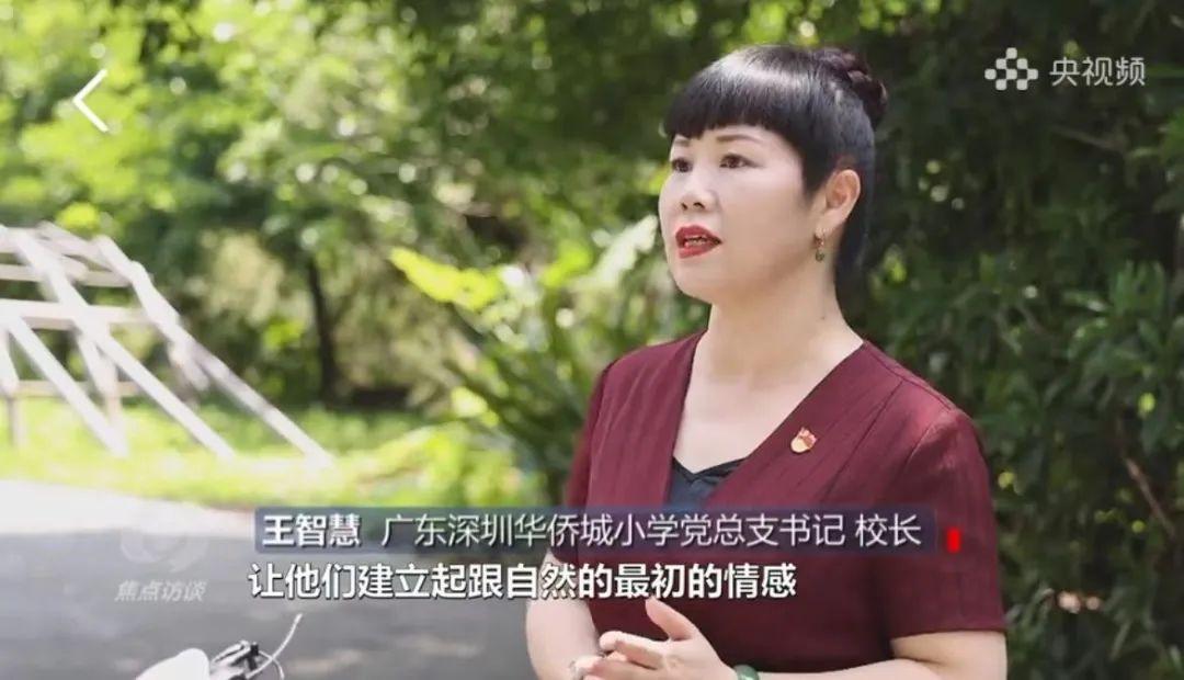 华侨城小学党总支书记,校长王智慧接受了央视焦点访谈记者的采访,王