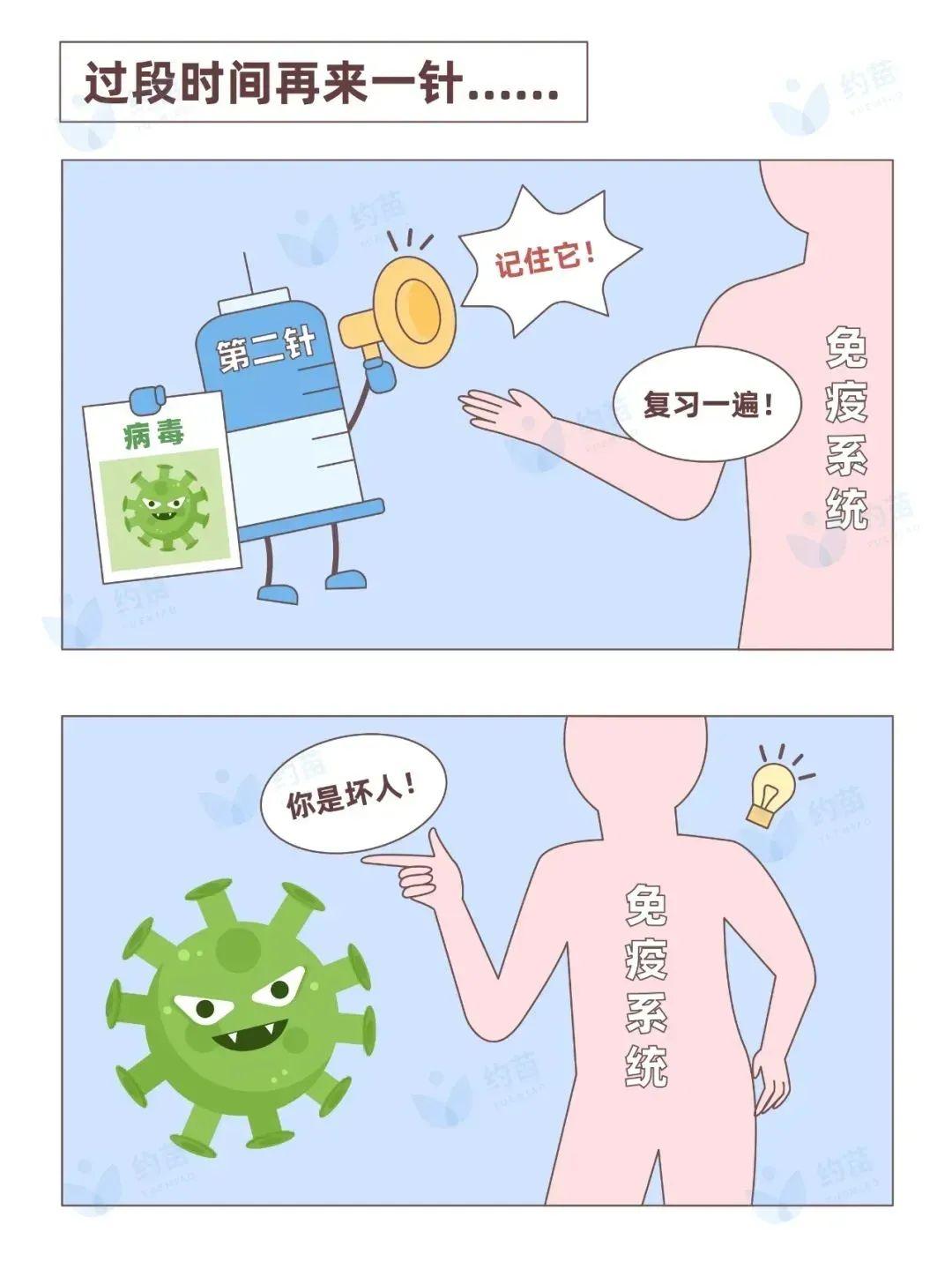 新冠病毒灭活疫苗为什么要打两针