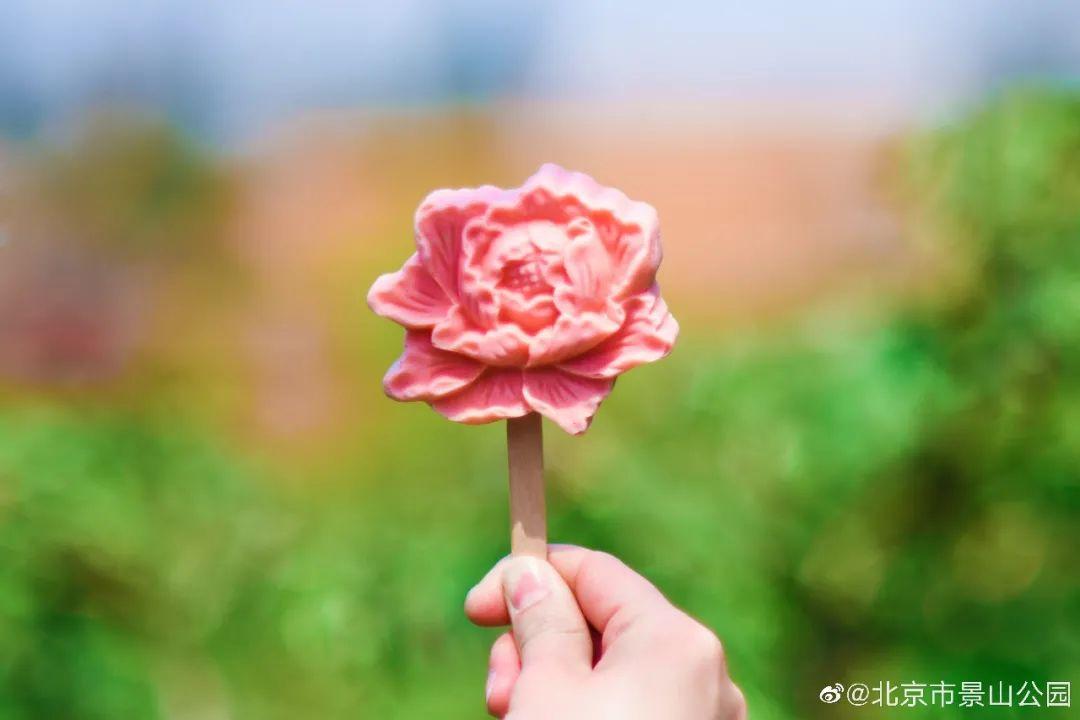 景山公园牡丹雪糕0215 块钱一支的樱花雪糕虽然口味一般,但花瓣,花蕊