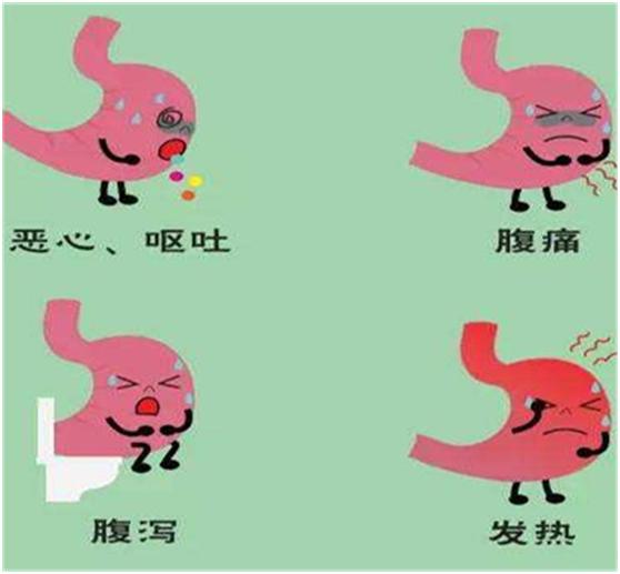 急性肠胃炎b超图片