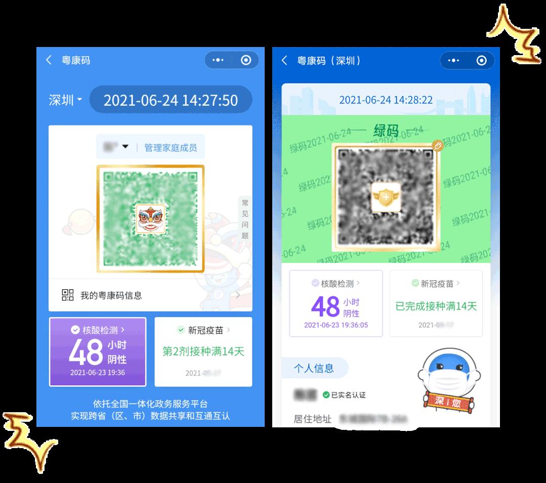 镶金边的绿码
