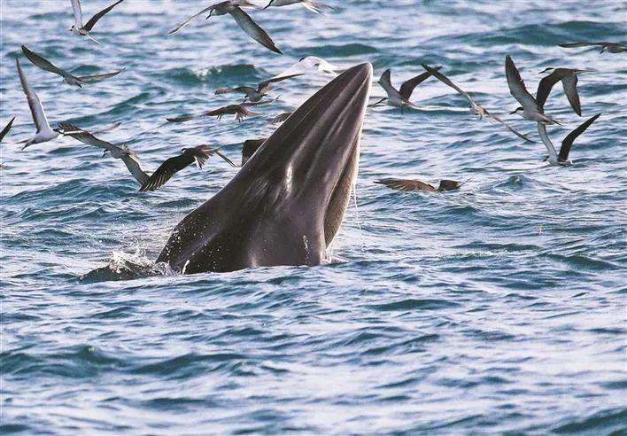 《深圳经济特区数据条例》明年实施,将重罚大数据杀熟|早安,龙岗_深圳
