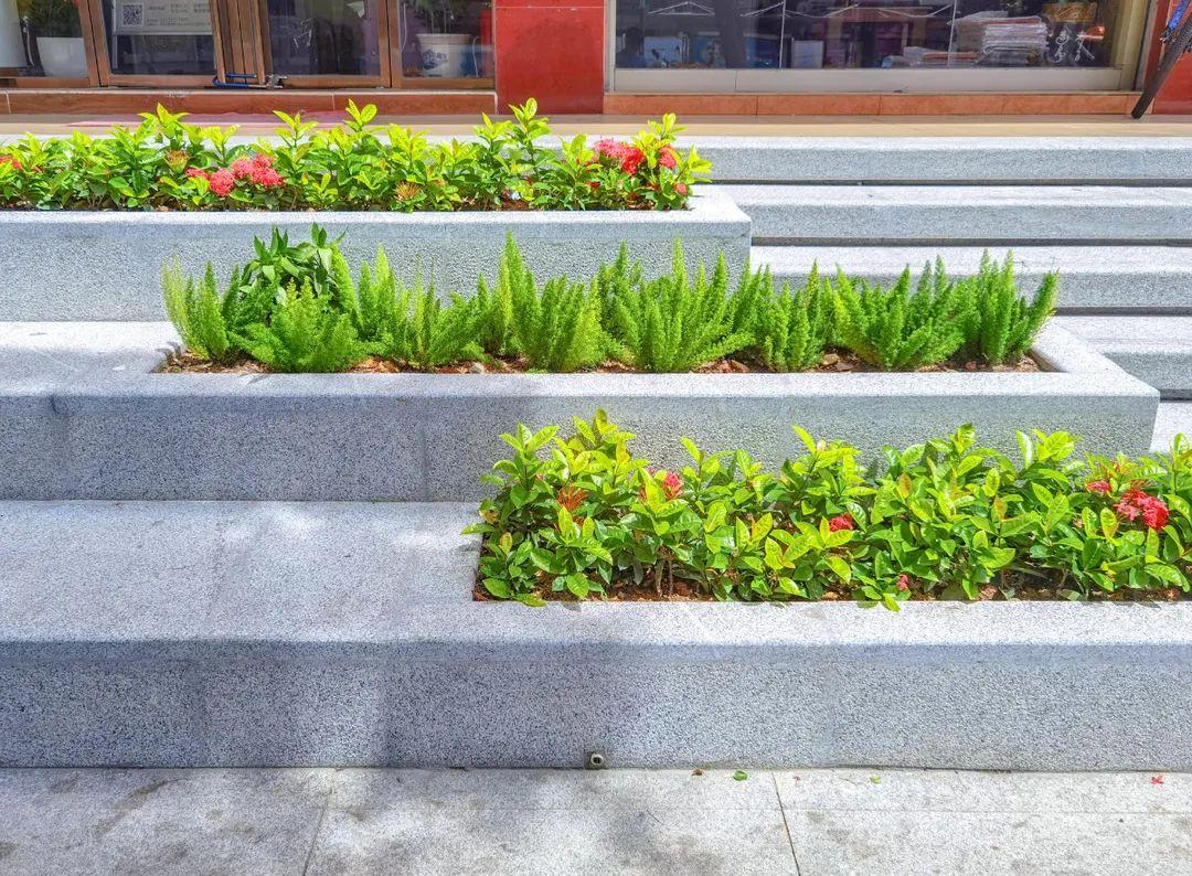 在深圳创业请认准这条路