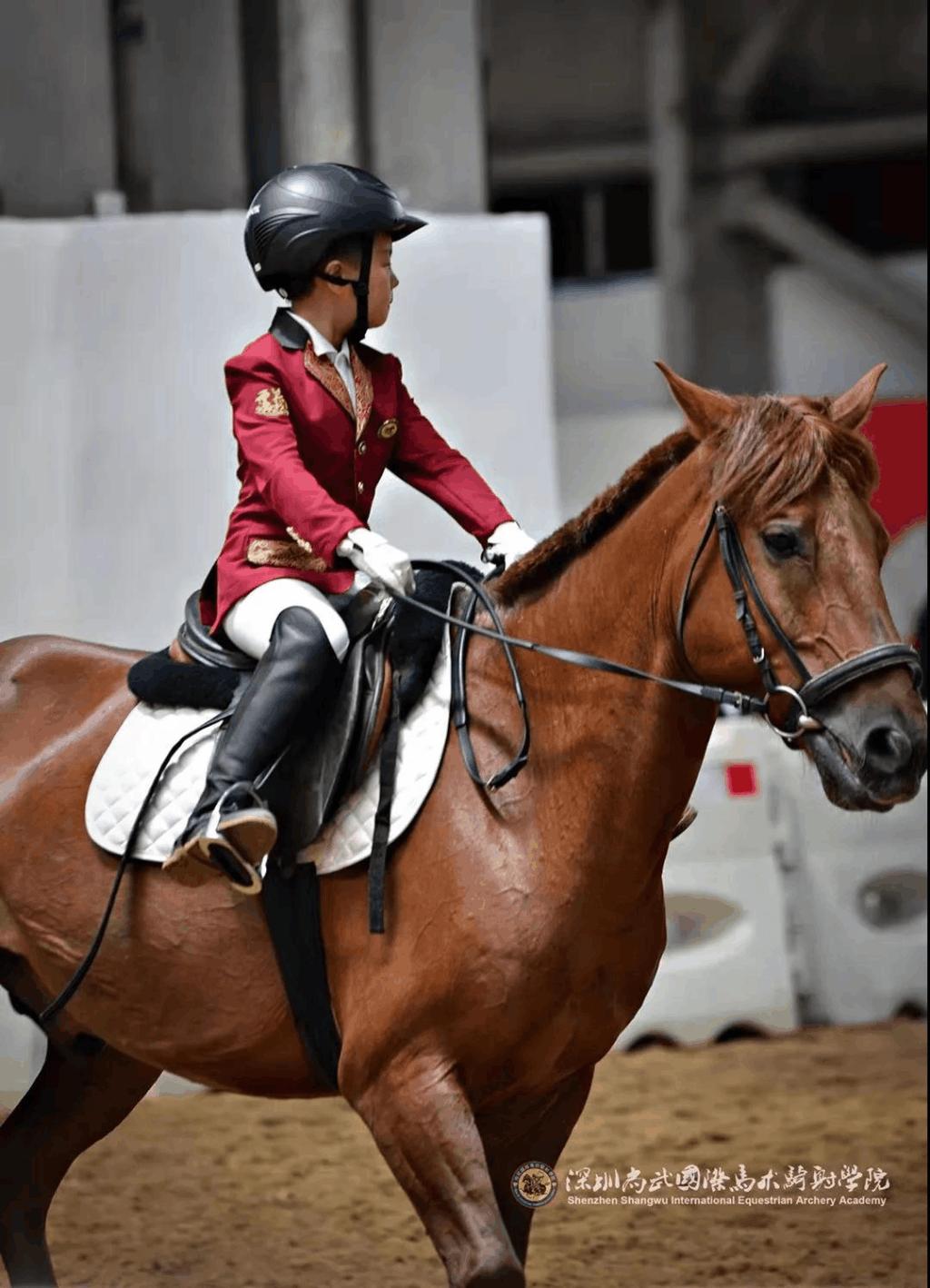 拉丁舞),足球,也有平常少接触的特色项目:马术,击剑,攀岩,高尔夫,拳击