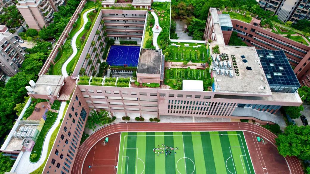 "招商血脉,蛇口基因"赋予了育才二小务实奉献,改革创新,敢为天下行的