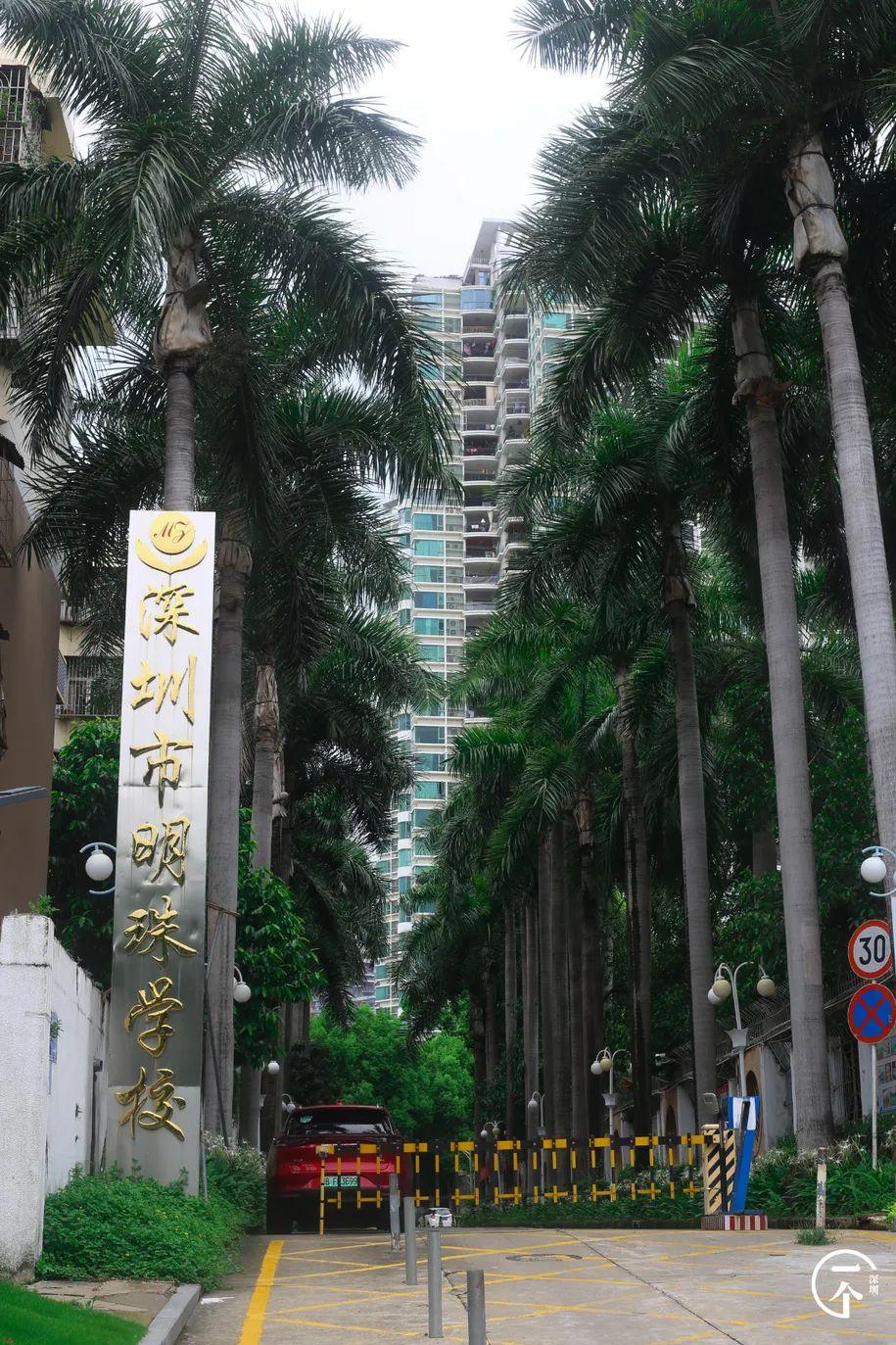 深圳市明珠学校升学率也极高的深圳市第二实验学校,曾经的碧波中学