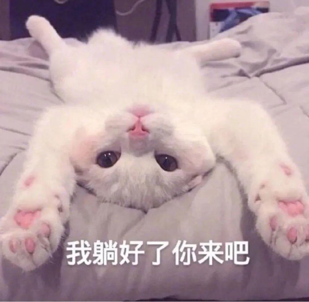 是假的但是艺术来源生活现实中肯定也会出现这样的情况"我就蹭蹭不