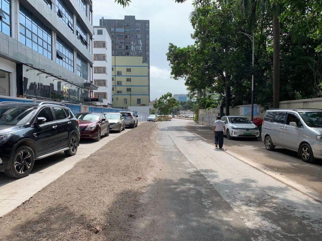 龙华这条"新"路你走过了吗?_深圳新闻网