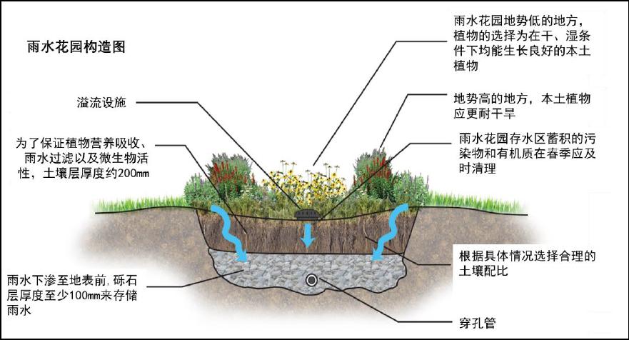 雨水花园构造示意图技术要点砾石层应采用土工布与土壤层隔离,挖掘面