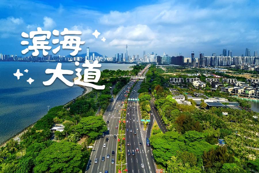 深圳新闻网首页为解决滨海大道拥堵「瓶颈」 给市民更好的亲海空间