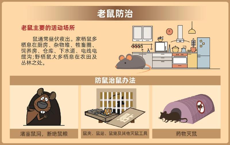 “除四害”说明书来了,敬请查收!_深圳新闻网