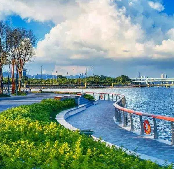 南山再添网红打卡地!环西丽湖碧道开建啦