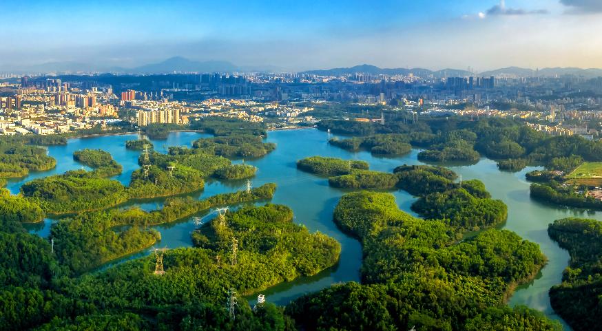 一山一水皆生态 美丽龙华入画来_深圳新闻网