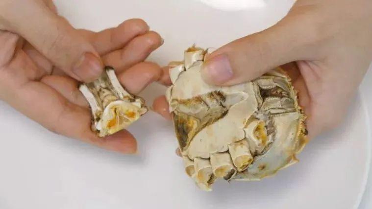 吃螃蟹竟会得脑膜炎秋日食蟹注意事项来了