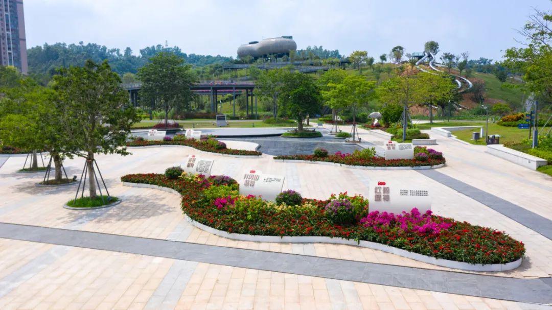 红红红龙华以最美容颜迎接共和国生日