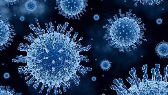 感冒的最大元凶鼻病毒momo