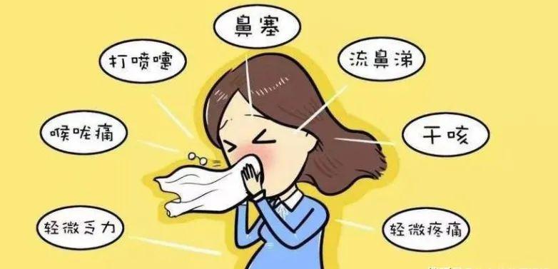 感冒的最大元凶鼻病毒momo