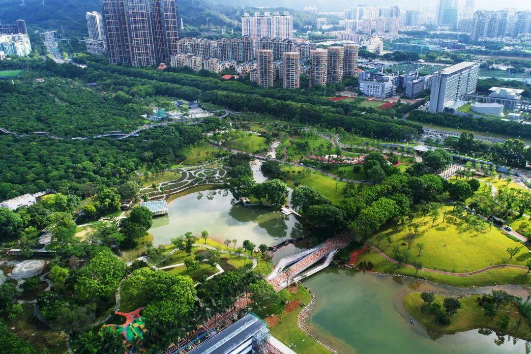 深圳中心公园拍了拍你你的建议很重要