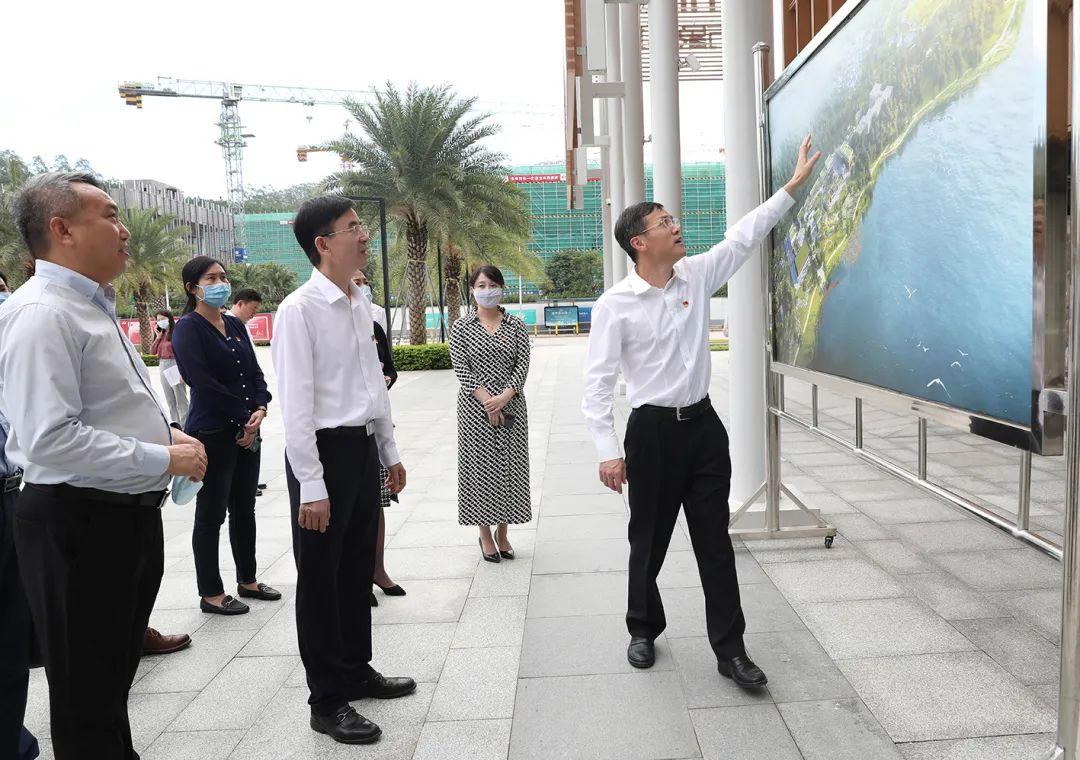 市委党史学习教育第二巡回指导组组长林苗,第一巡回指导组副组长