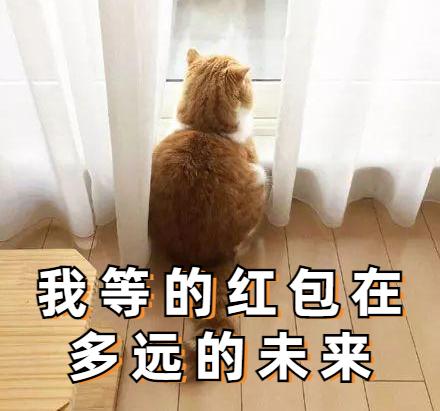 开奖啦520红包等你来