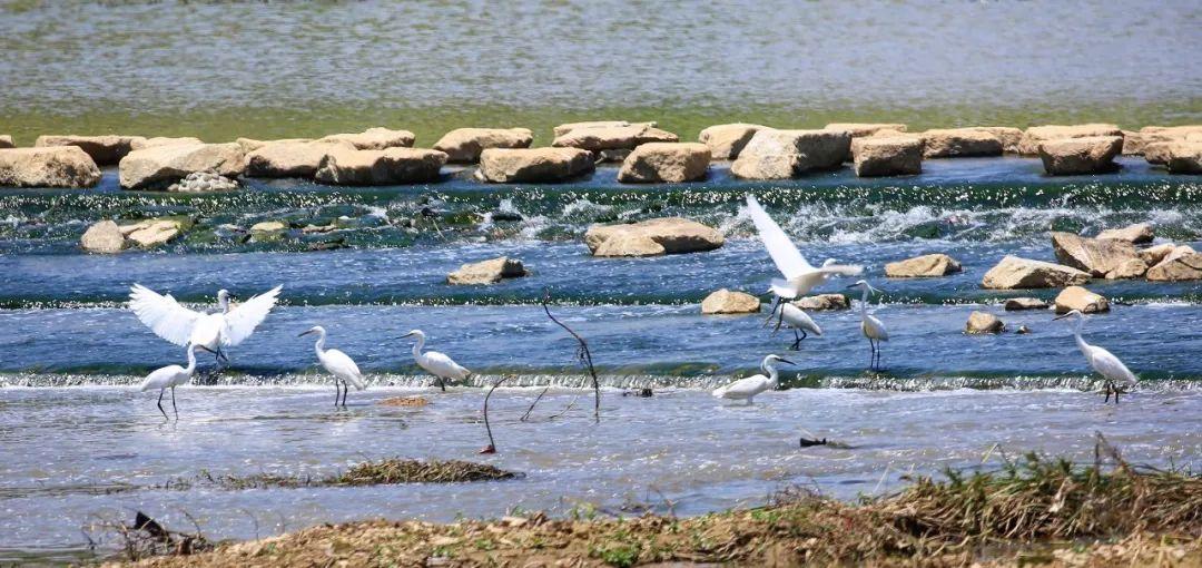 后天的努力可美从来不是一种天赋中部仍保有基本农田以及松子坑水库