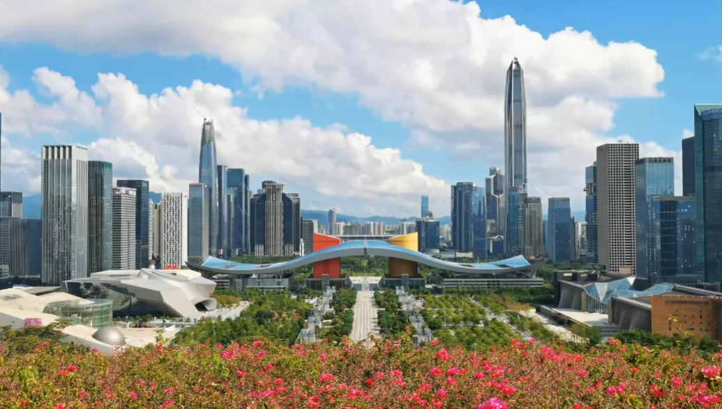 志愿招募志愿鹏城与税同行南山区税务局招募志愿者啦