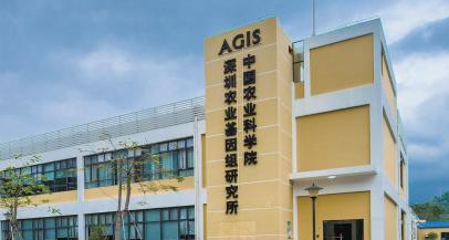 大鹏的未来有哪些值得期许?