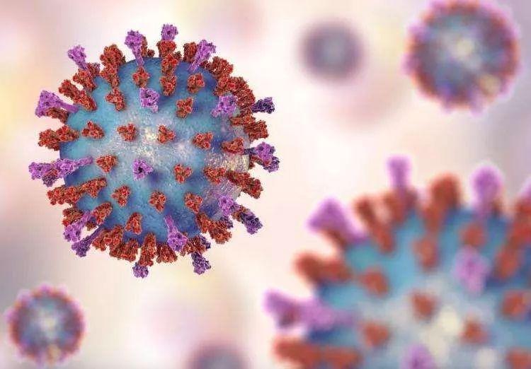 病毒,主要是甲型流感病毒中的 h1n1,h3n2 亚型,以及乙型流感病毒的