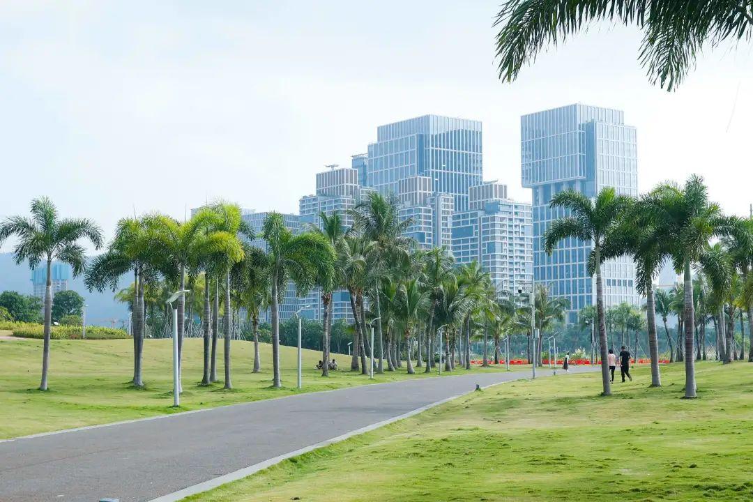 来到前海演艺公园,小c只想感叹一句:我可以在这里待上一整天!