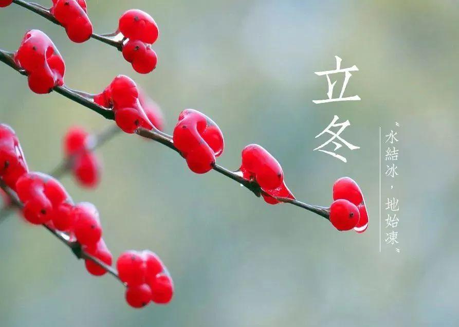 今日立冬
