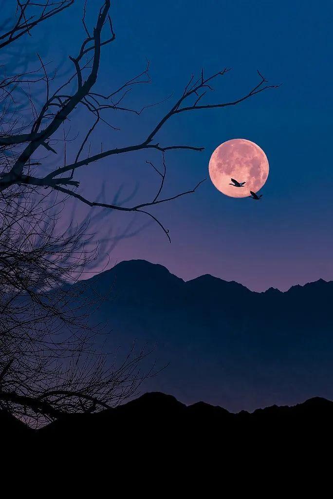 李白《月下独酌》月亮是寂寥,"举杯邀明月,对影成三人.